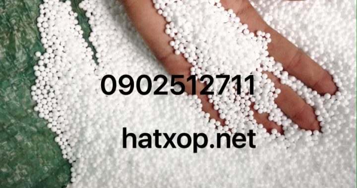hat-xop-gia-si